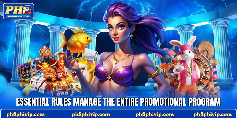Essential rules manage the entire promotional program