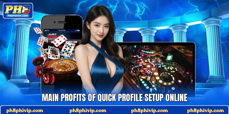 Main profits of quick profile setup online