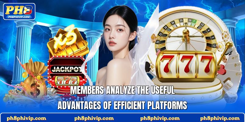 Members analyze the useful advantages of efficient platforms