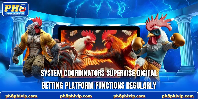 System coordinators supervise digital betting platform functions regularly