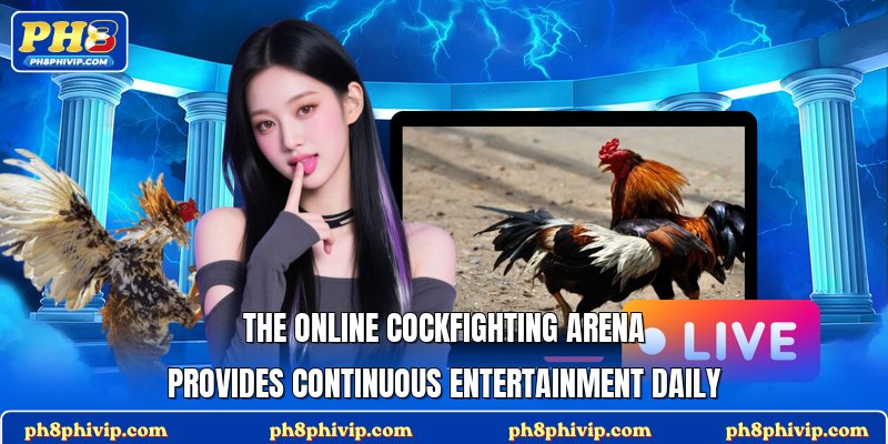 The online cockfighting arena provides continuous entertainment daily